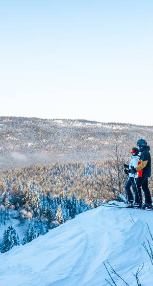 Ski alpin