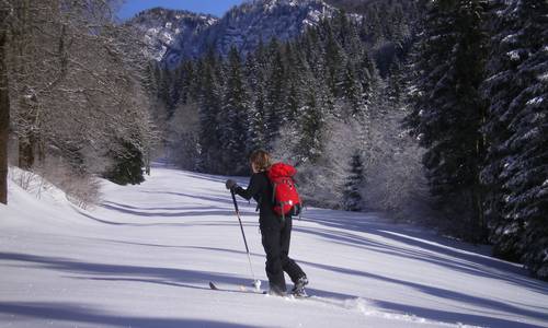 Skieuse qui fait du ski de randonnée nordique