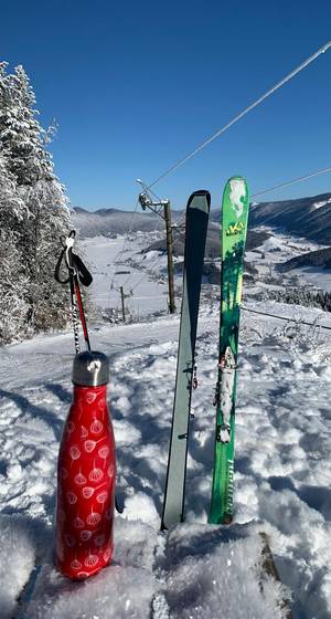 Ski de randonnée alpine et nordique